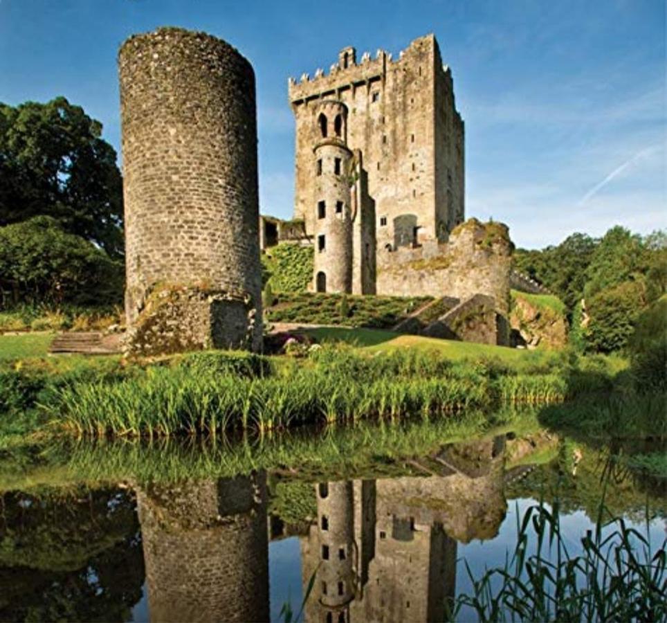 Mulberry Lodge Blarney Exterior foto