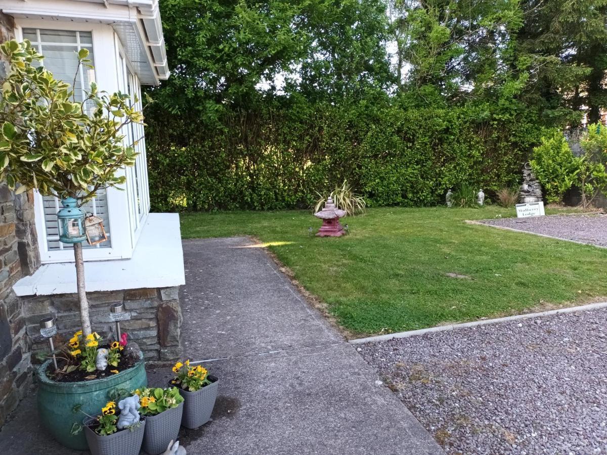 Mulberry Lodge Blarney Exterior foto